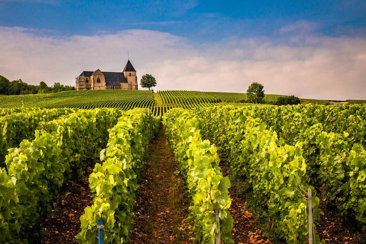 Champagne Pertois-Moriset