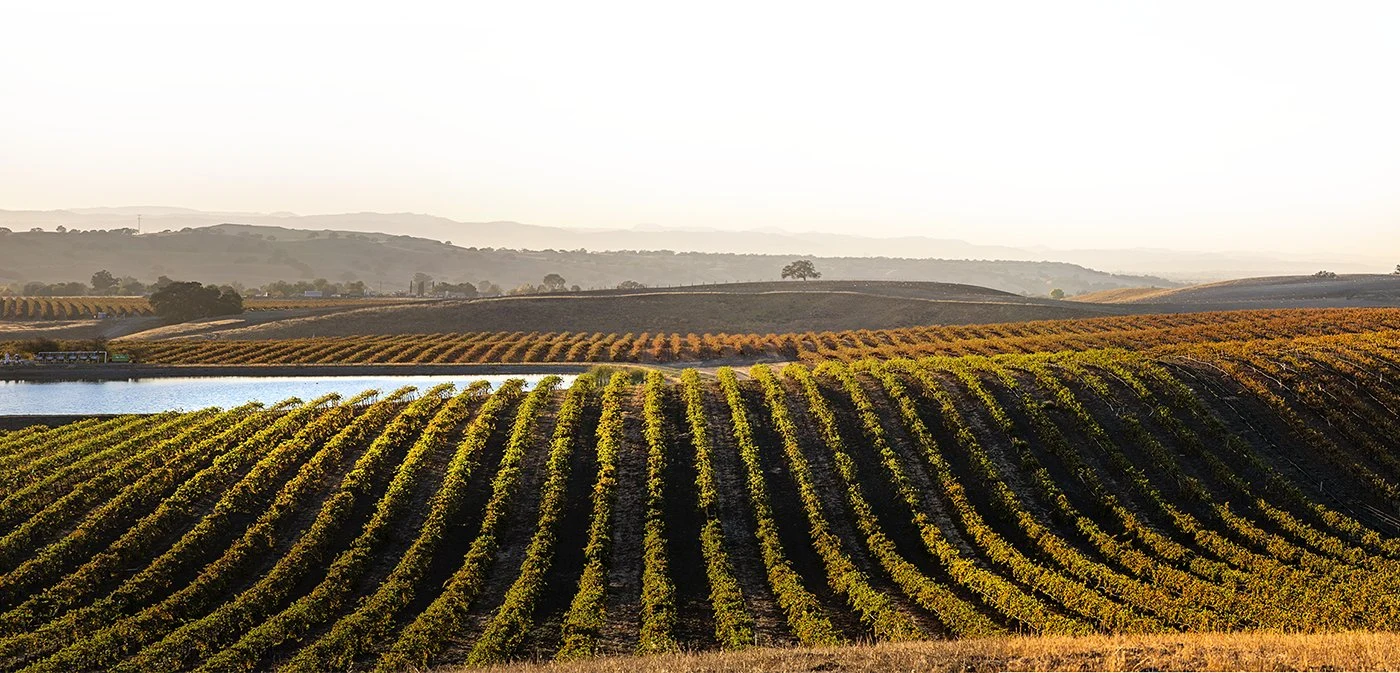 Broken Earth Winery