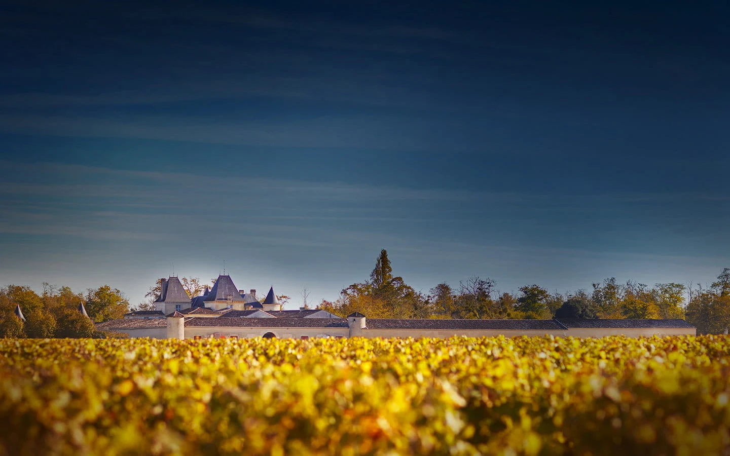 Château Suduiraut