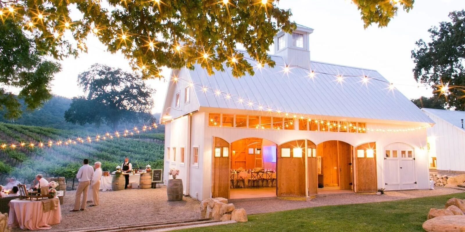 HammerSky Vineyards