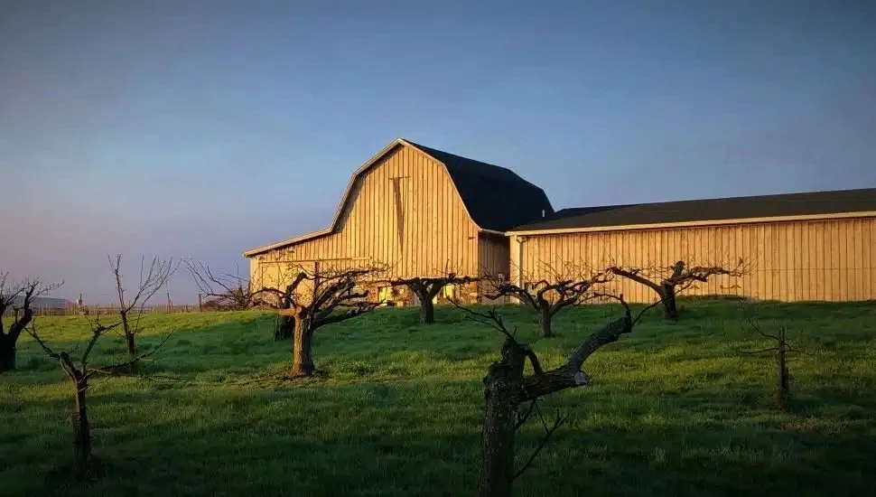 Va La Vineyards