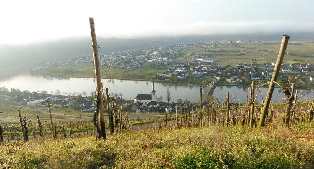 Bio Weingut Hoffmann
