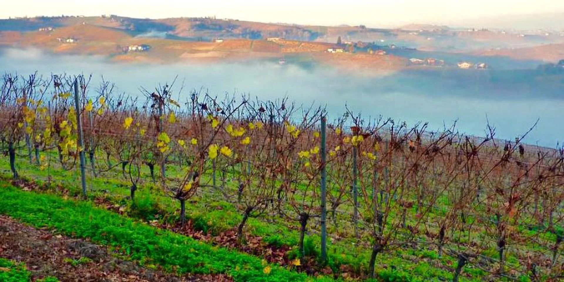 Dacapo Ca ed Balos winery