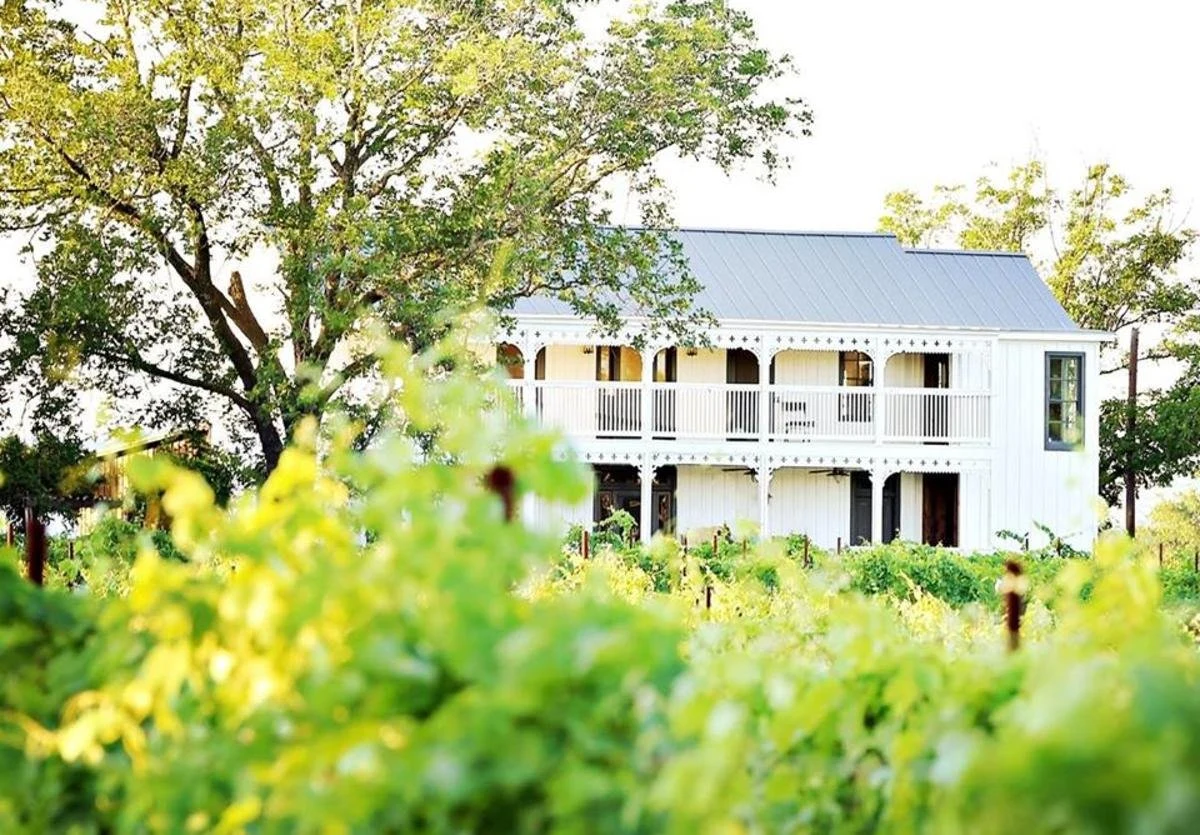 Signor Vineyards