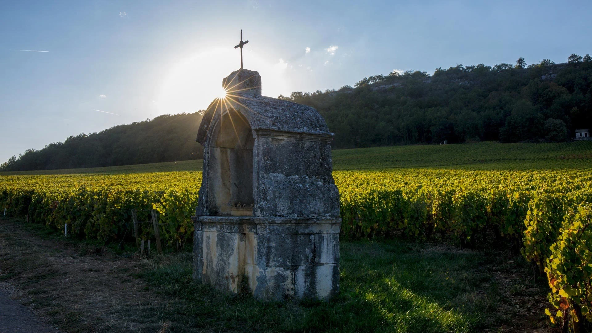 Domaine Larue