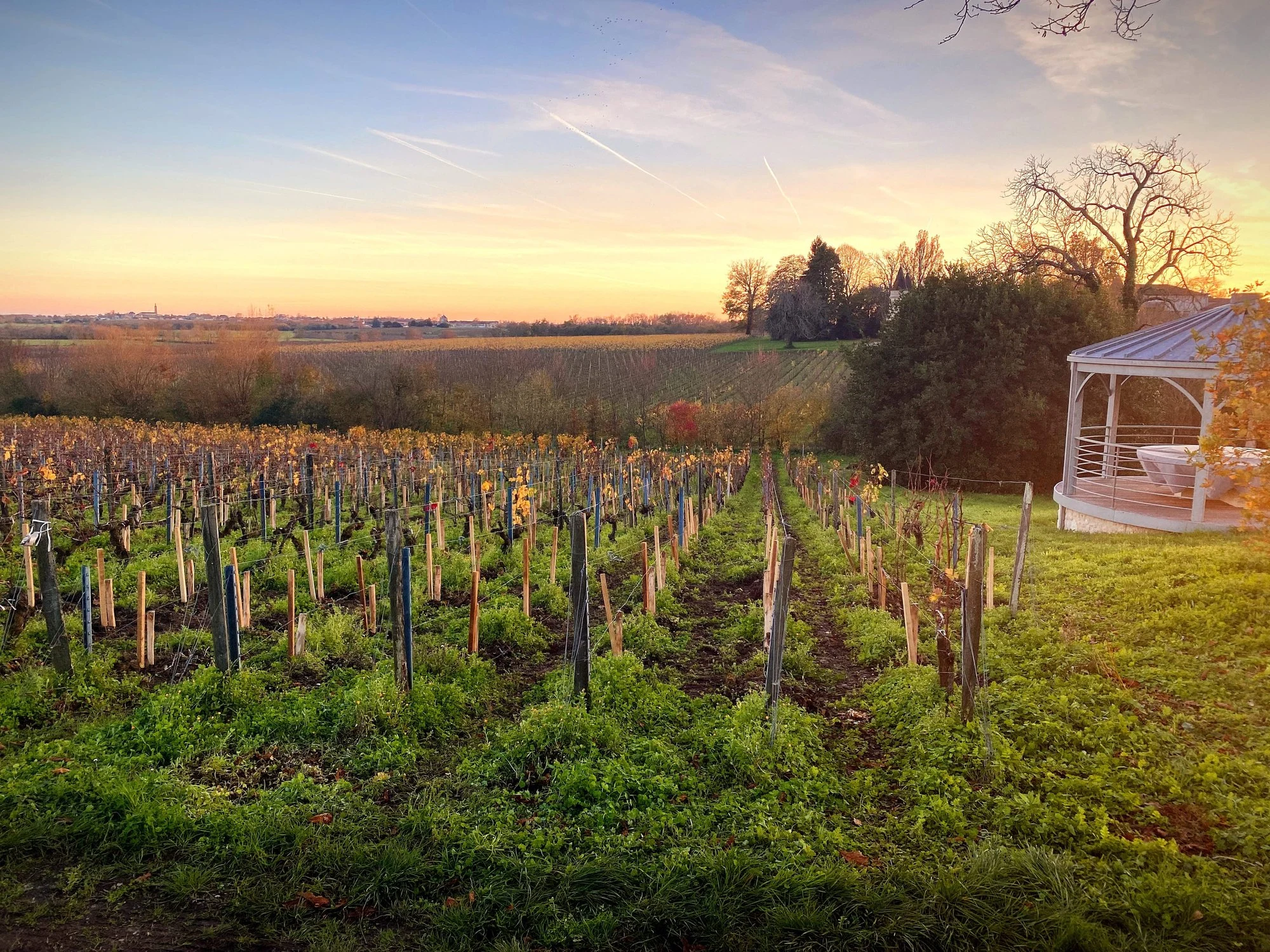 Domaine Andron