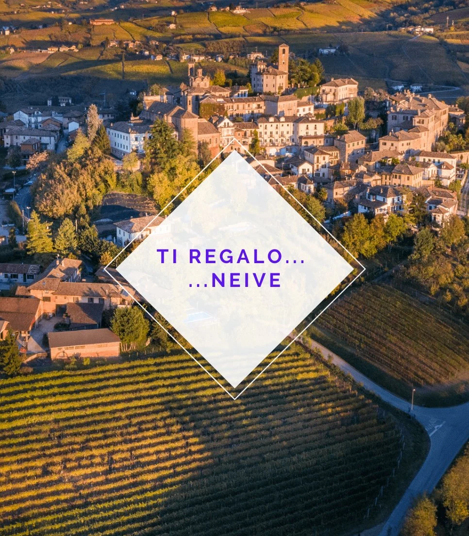 Castello di Neive