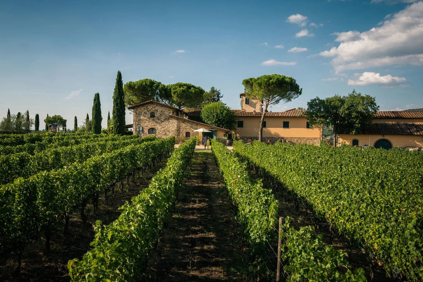 Azienda Agricola Poggio agli Scalzi