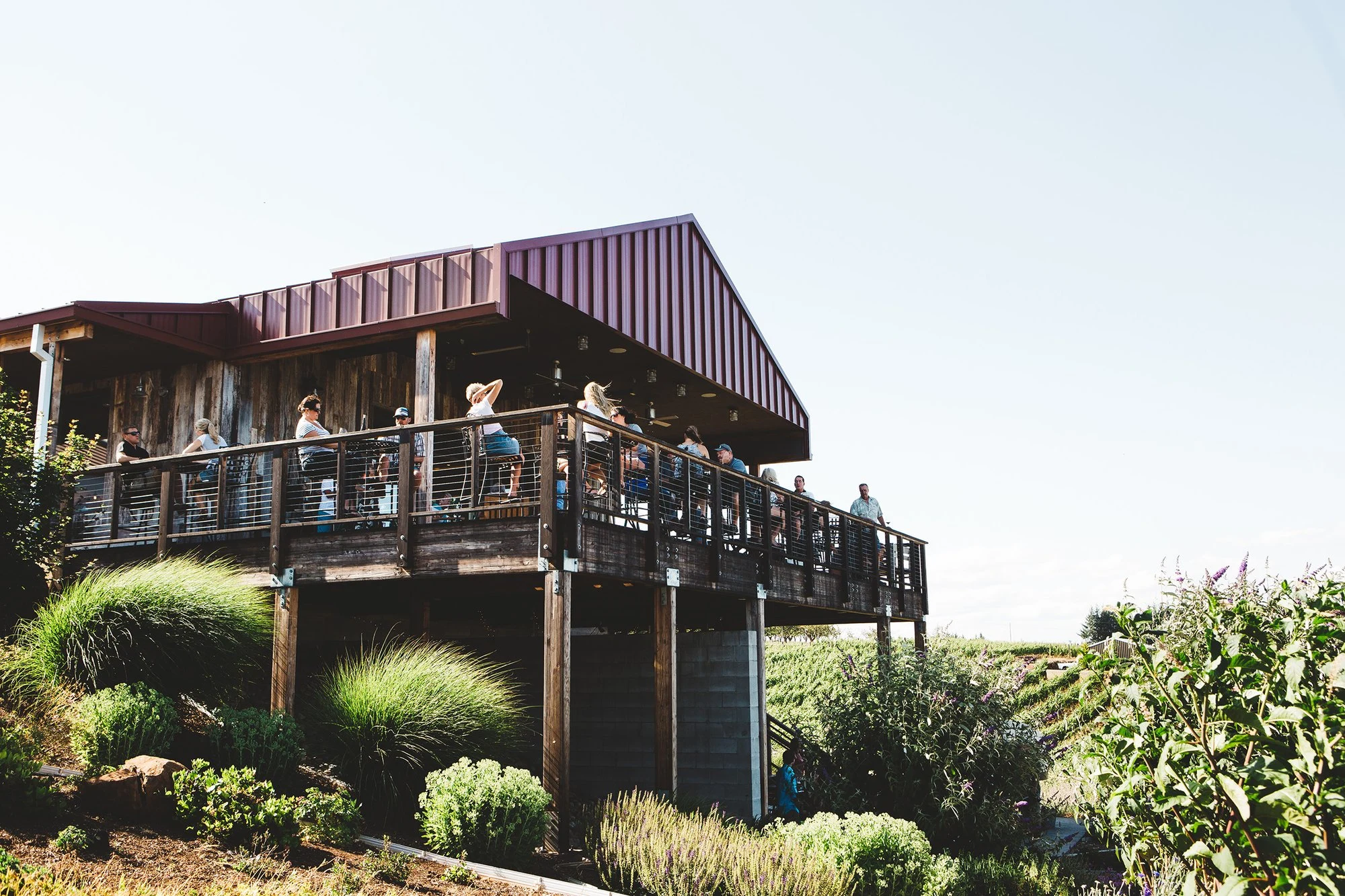 Brooks Winery