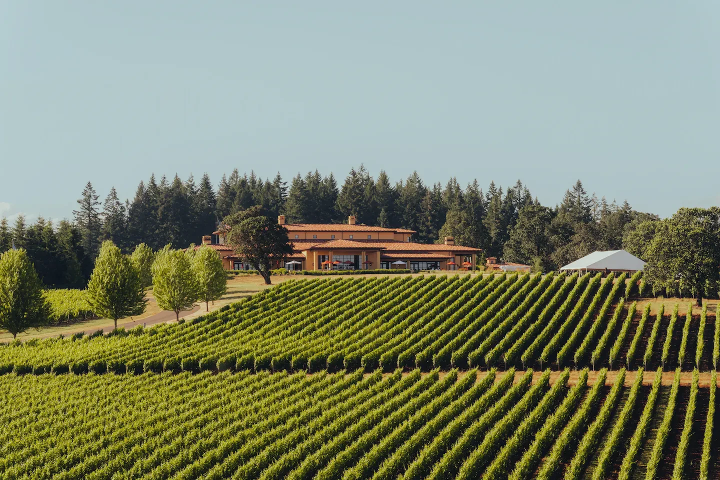 Domaine Serene Winery