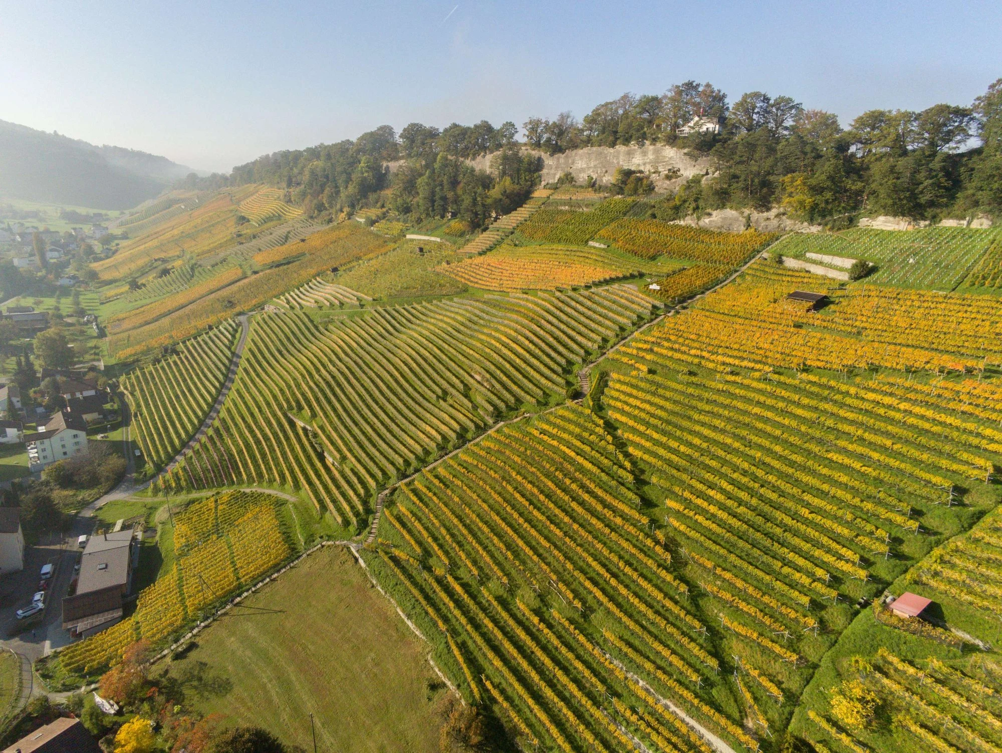 Weingut am Steinig Tisch, Roman Rutishauser