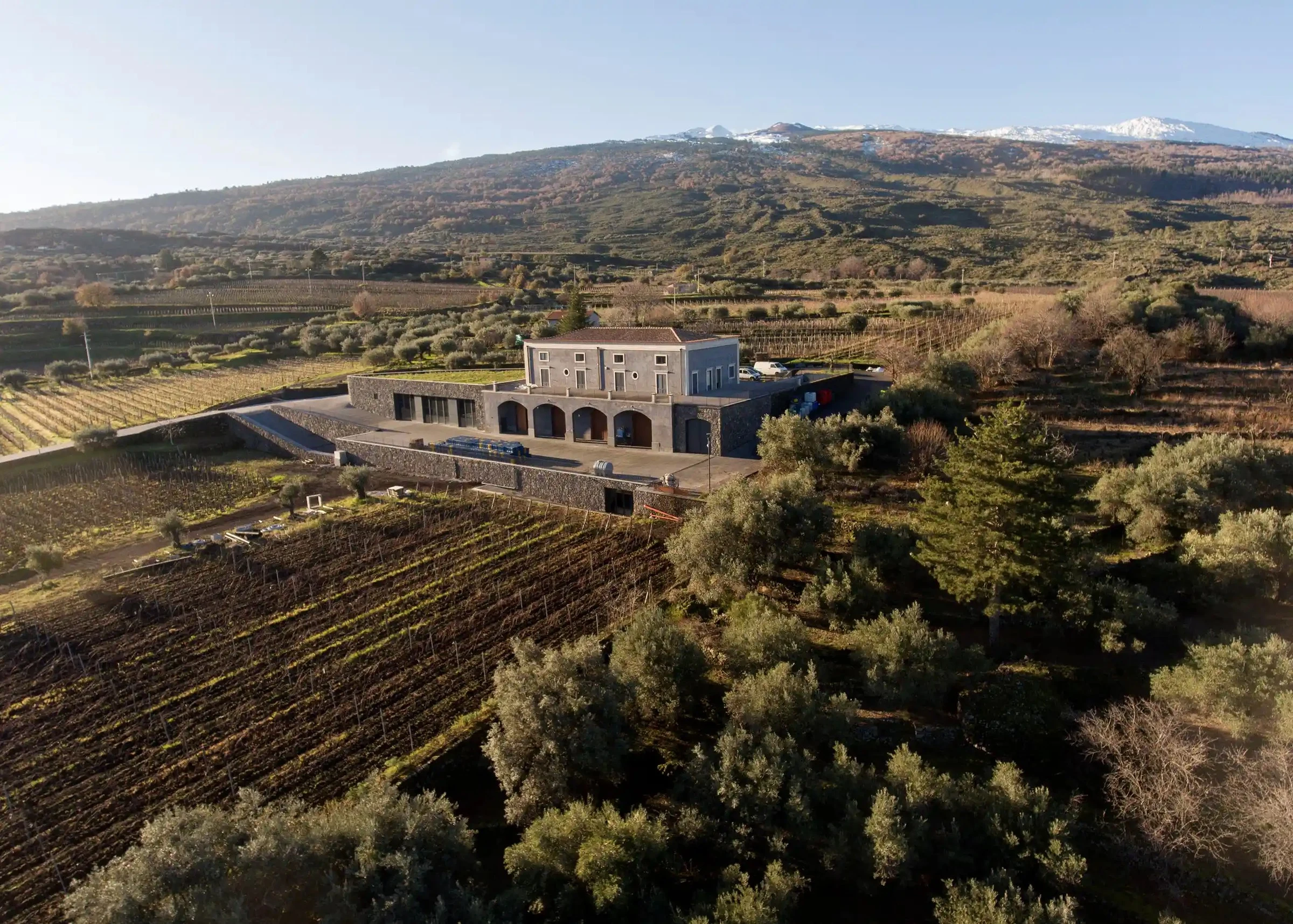 Tenuta Tascante
