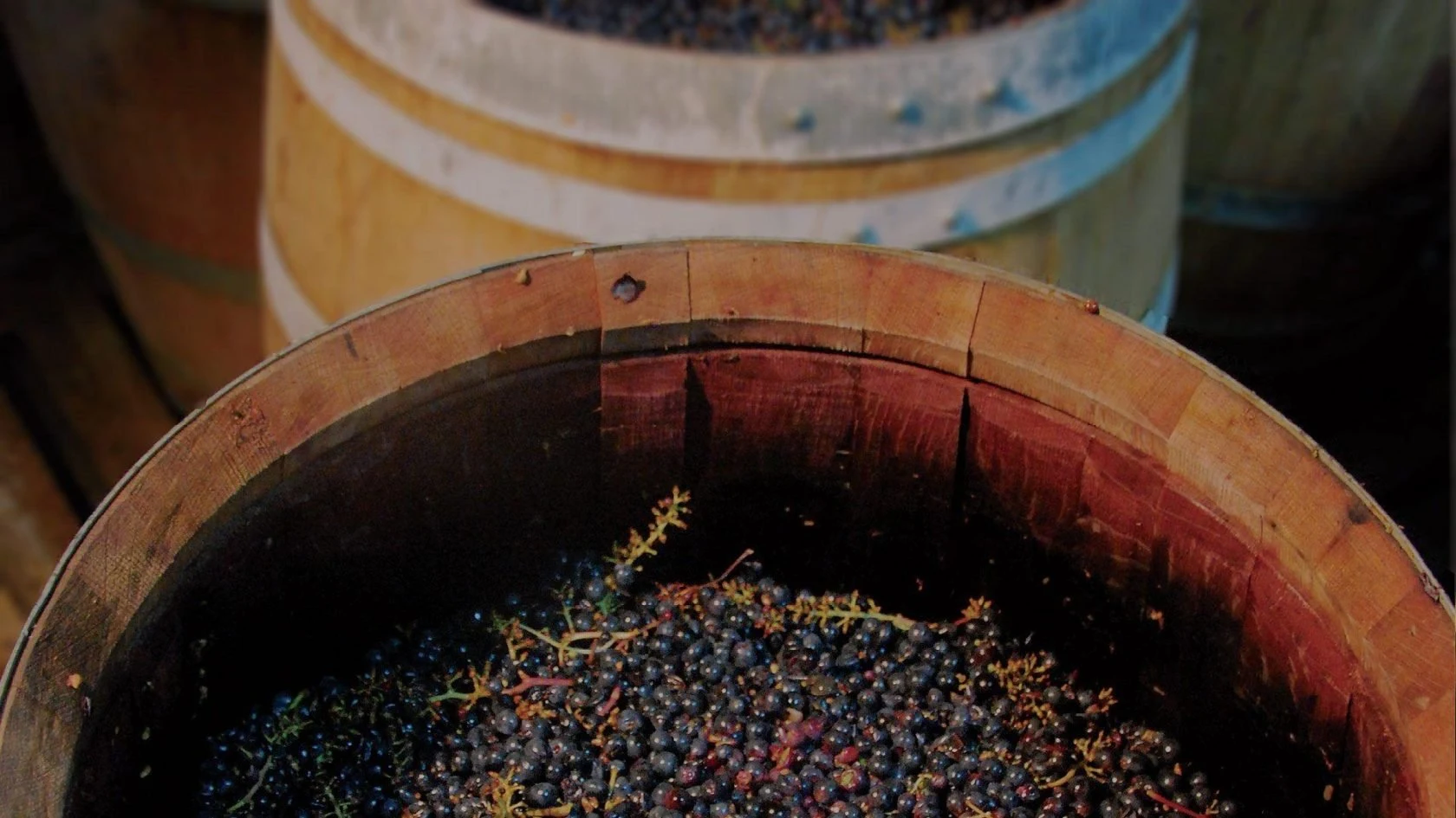 Domaine des Grandes Esperances