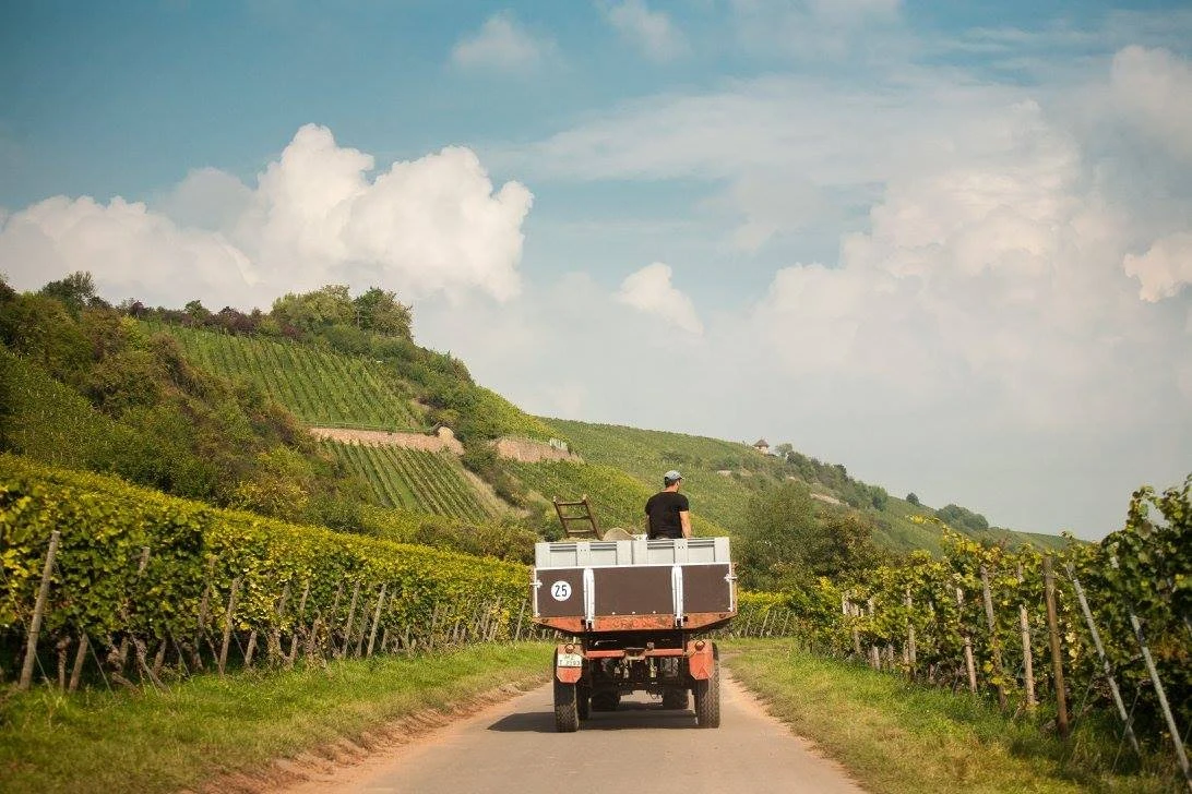 Weingut Rappenhof