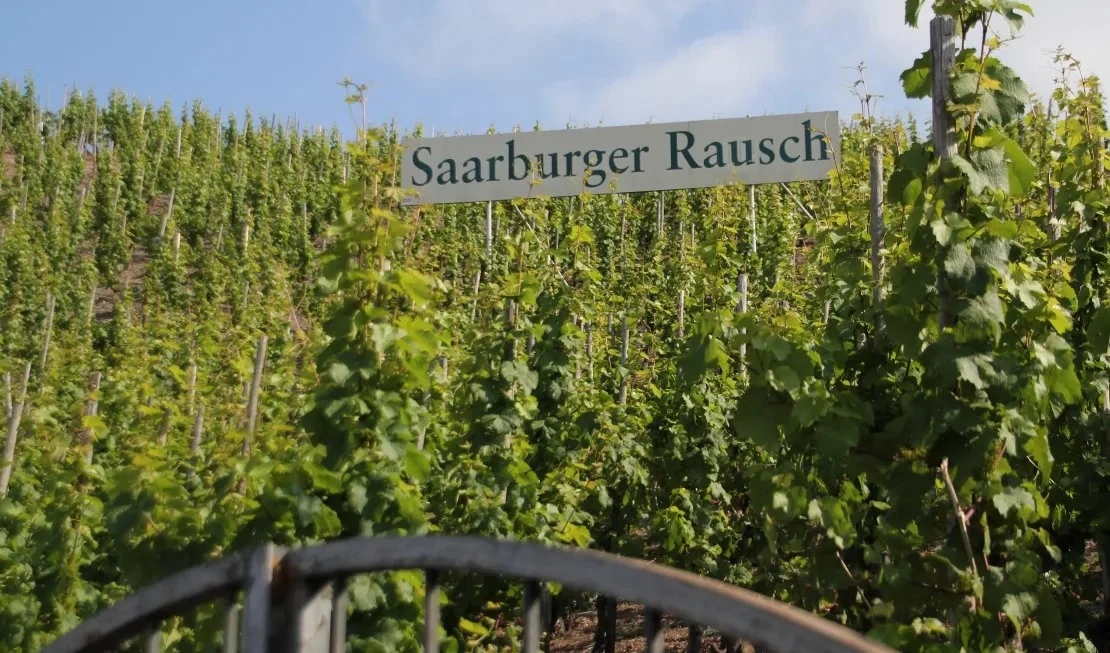 Weingut Forstmeister Geltz-Zilliken