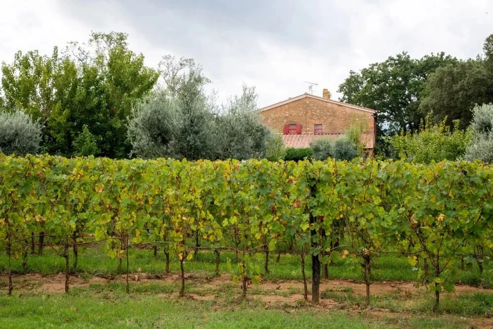 Podere Conca
