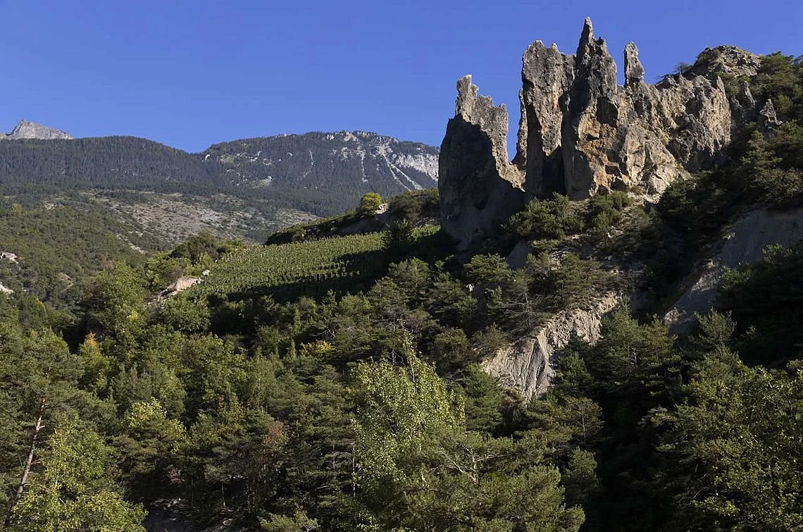 Cave St. Philippe – Philippe Constantin