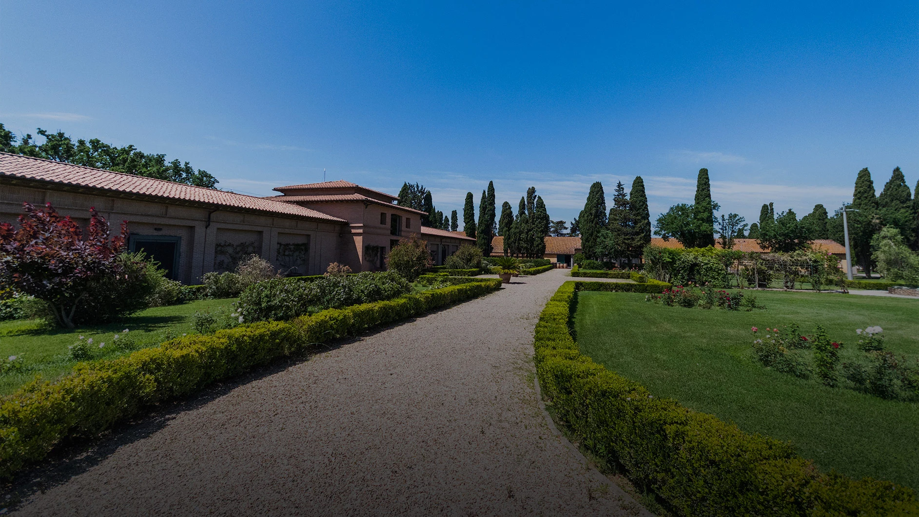 Tenuta San Guido