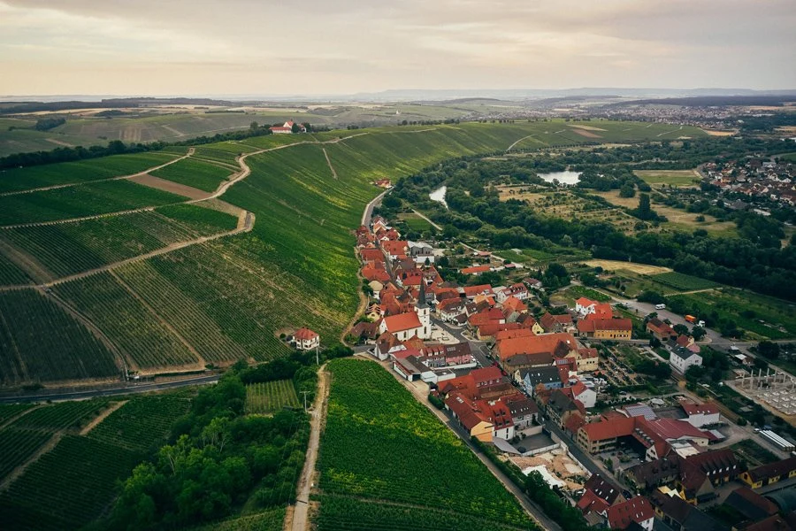 Weingut Rainer Sauer