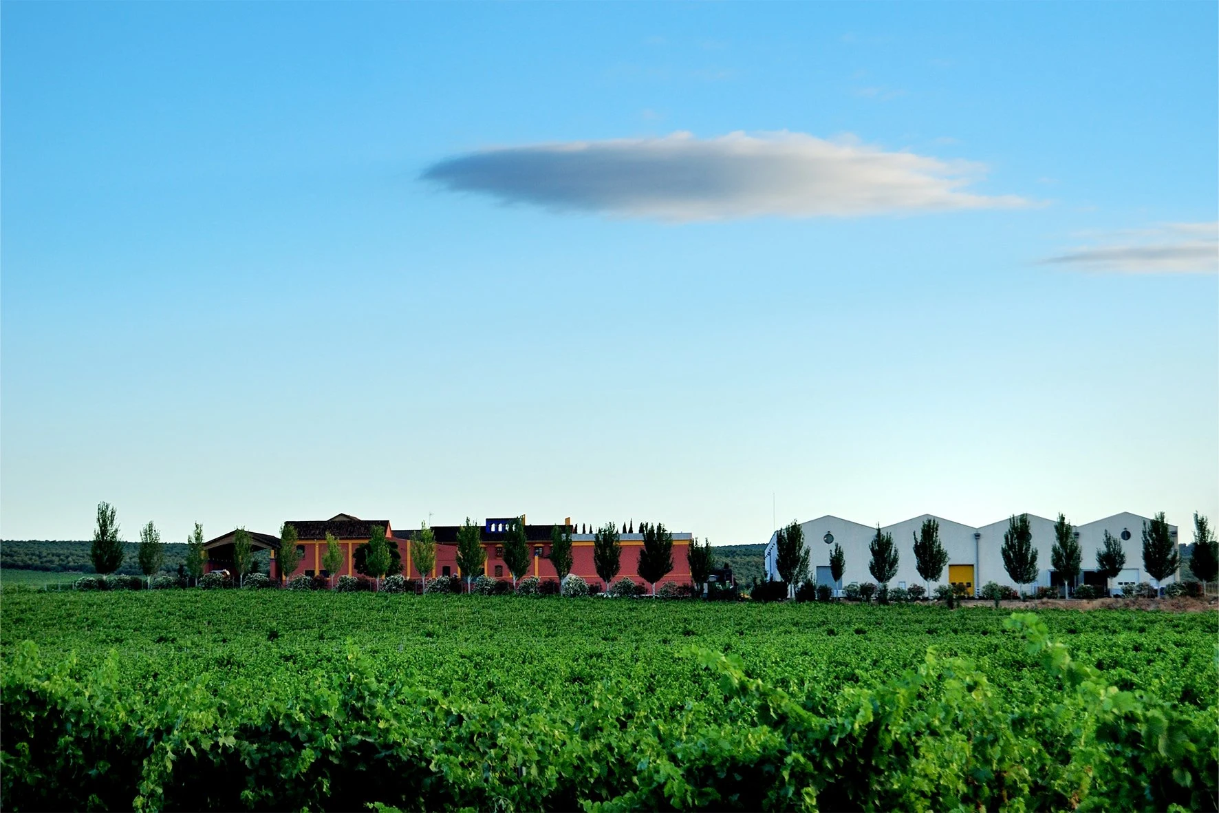 Bodegas Málaga Virgen