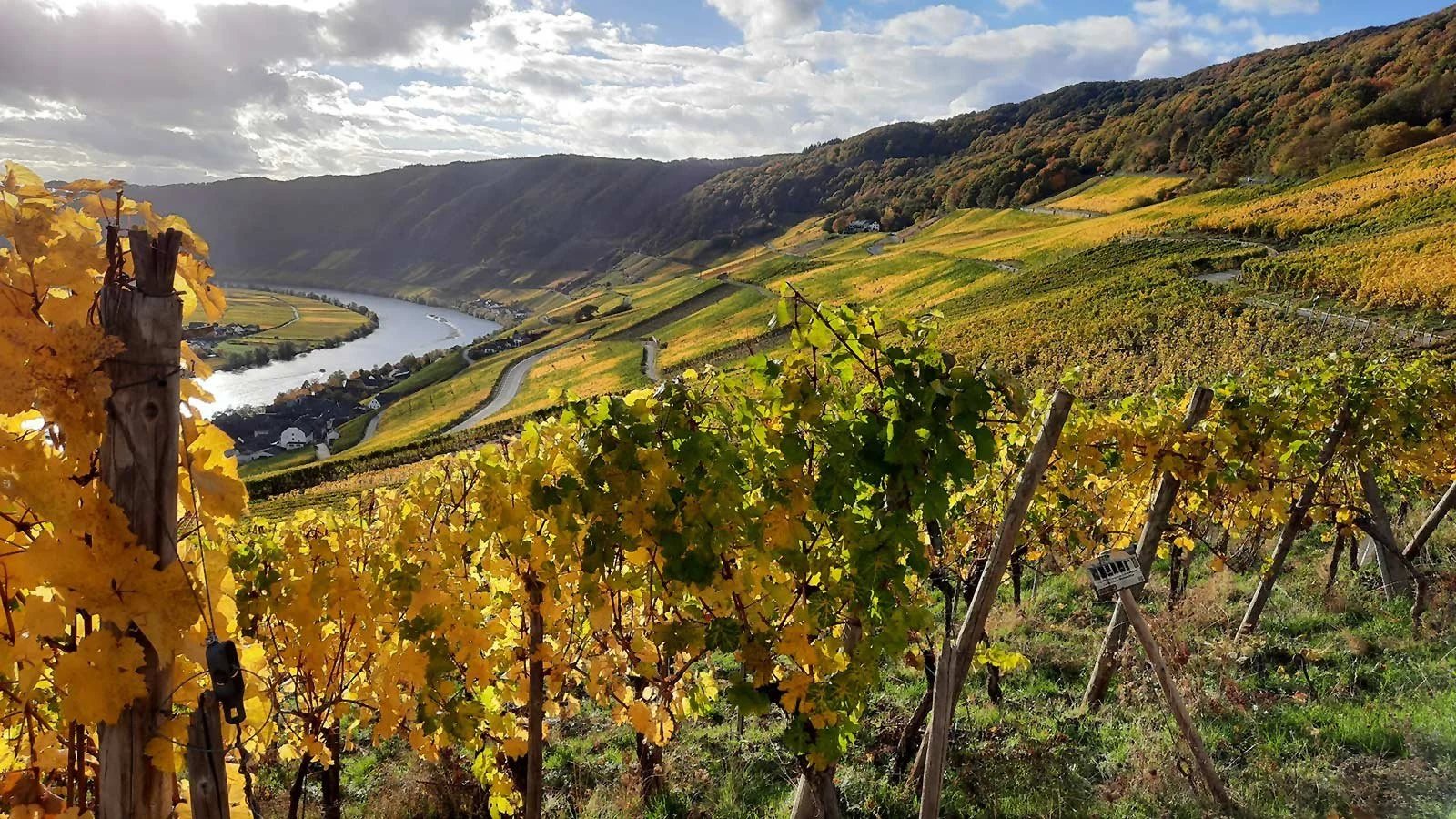 Weingut Steffen Prüm