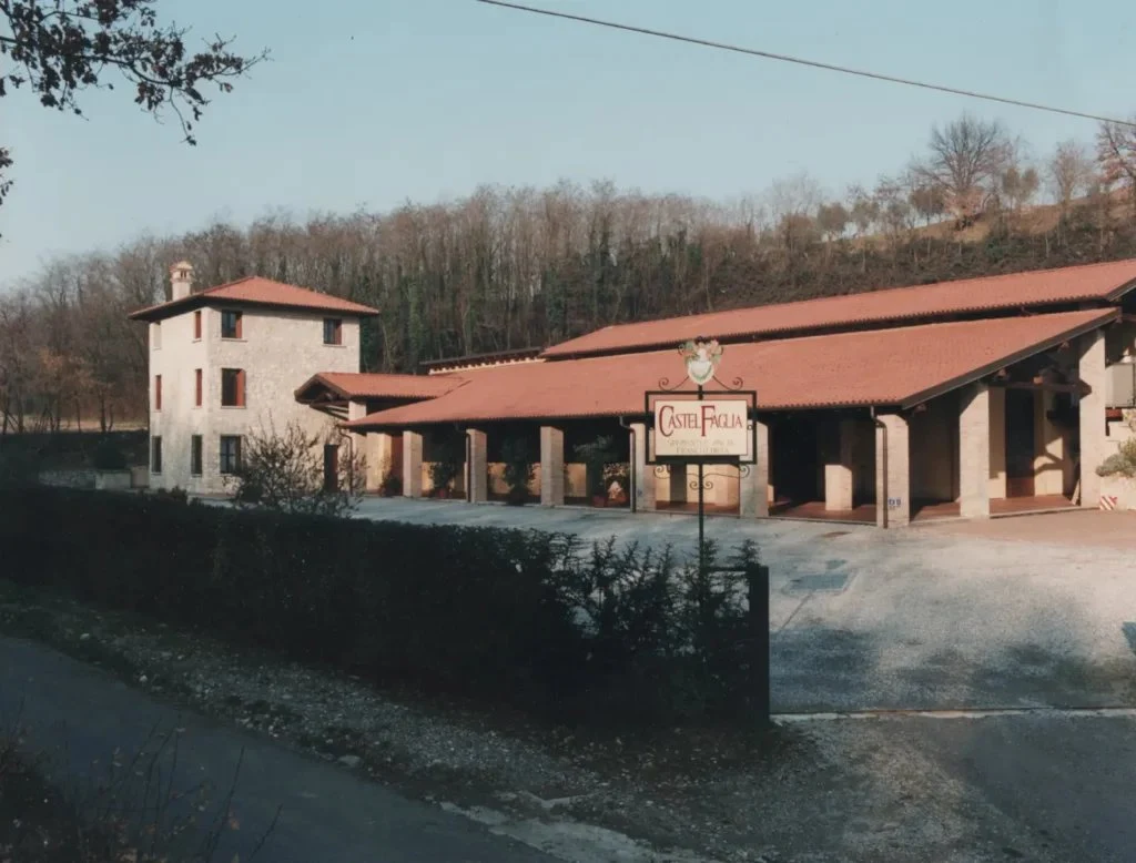 Castel Faglia