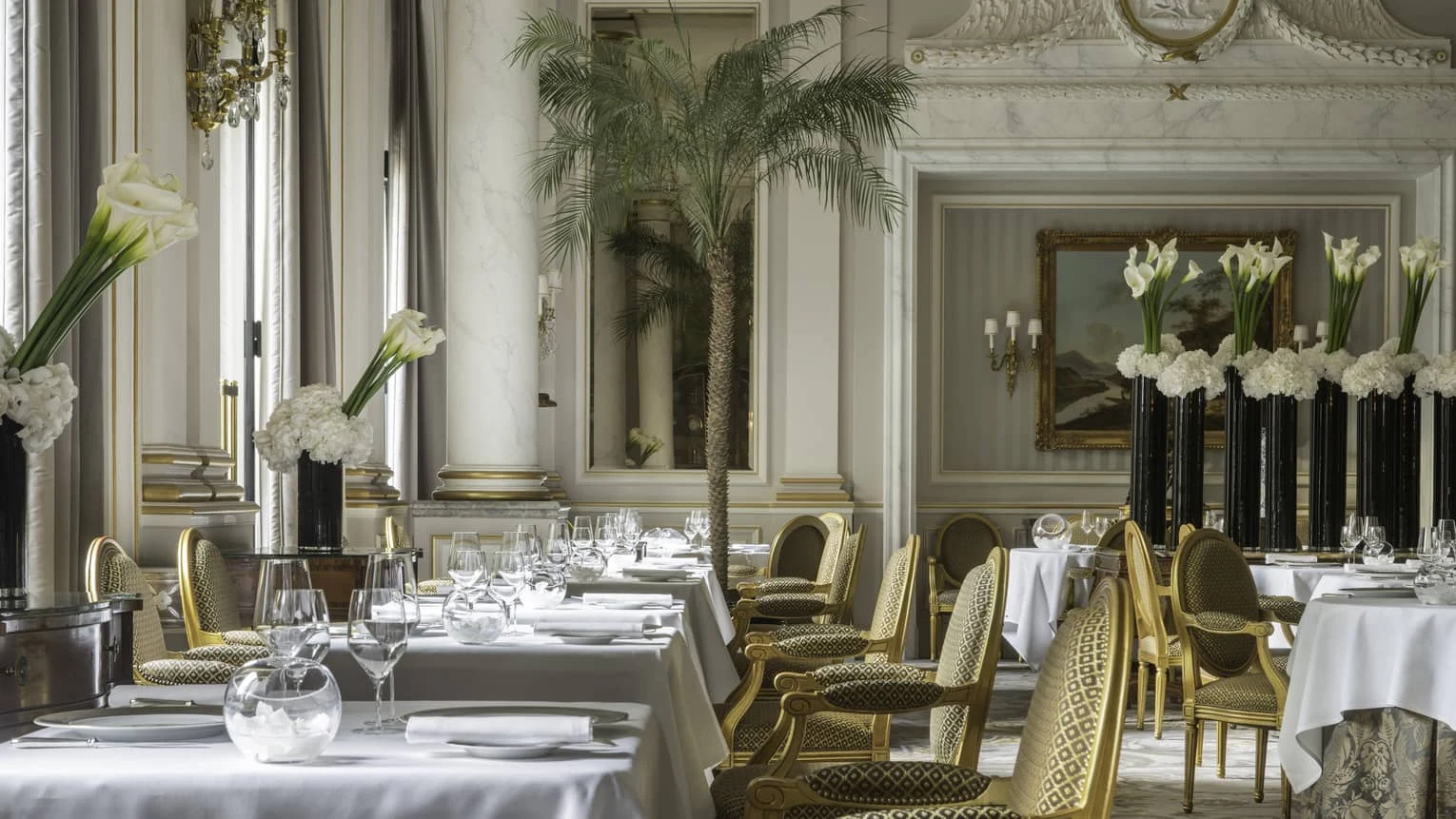 Le Cinq