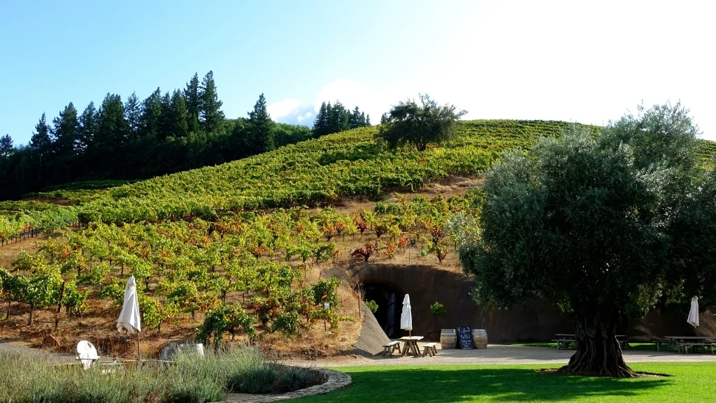 Bella Vineyards and Wine Cave
