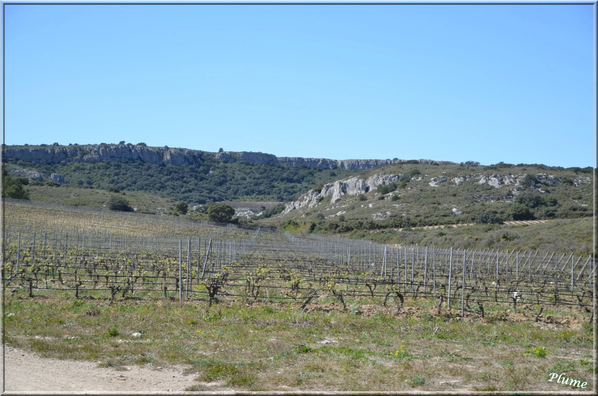 Château des Karantes