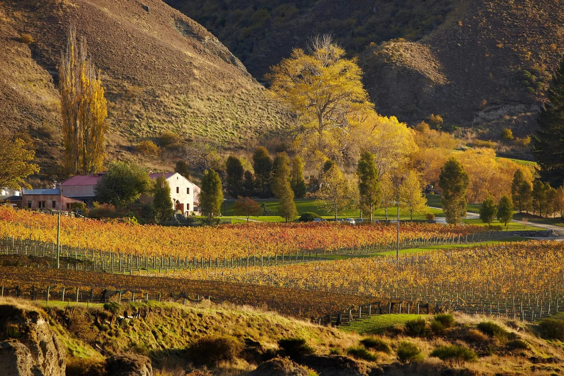 Gibbston Valley Winery