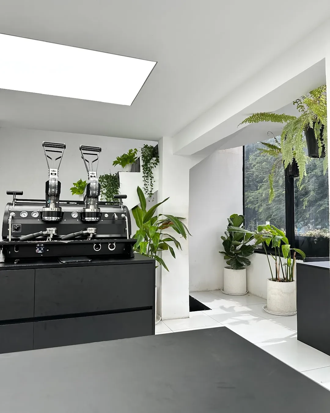 XLIII Specialty Coffee