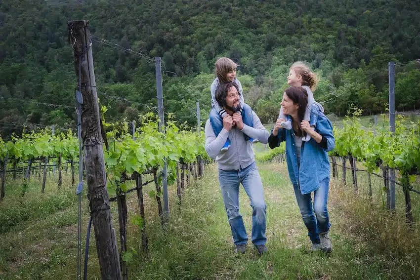 Cantina San Guglielmo