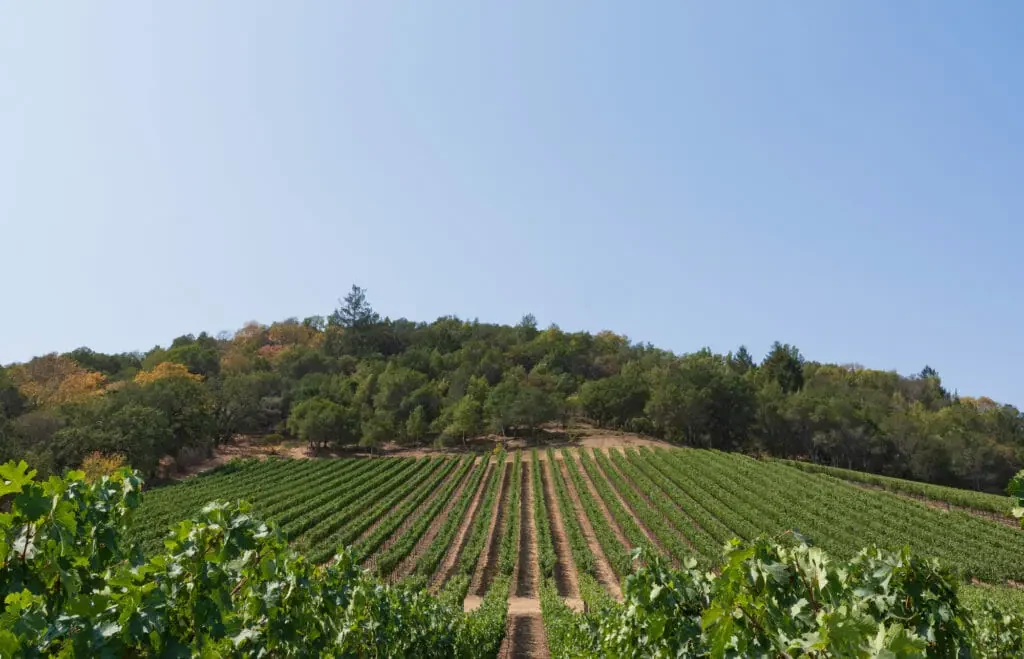 TOR Wines