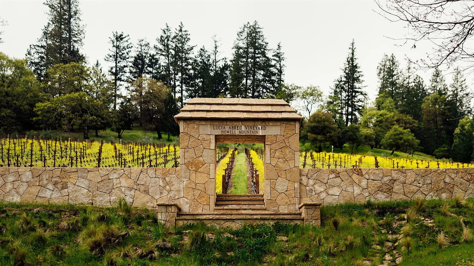 Abreu Vineyards