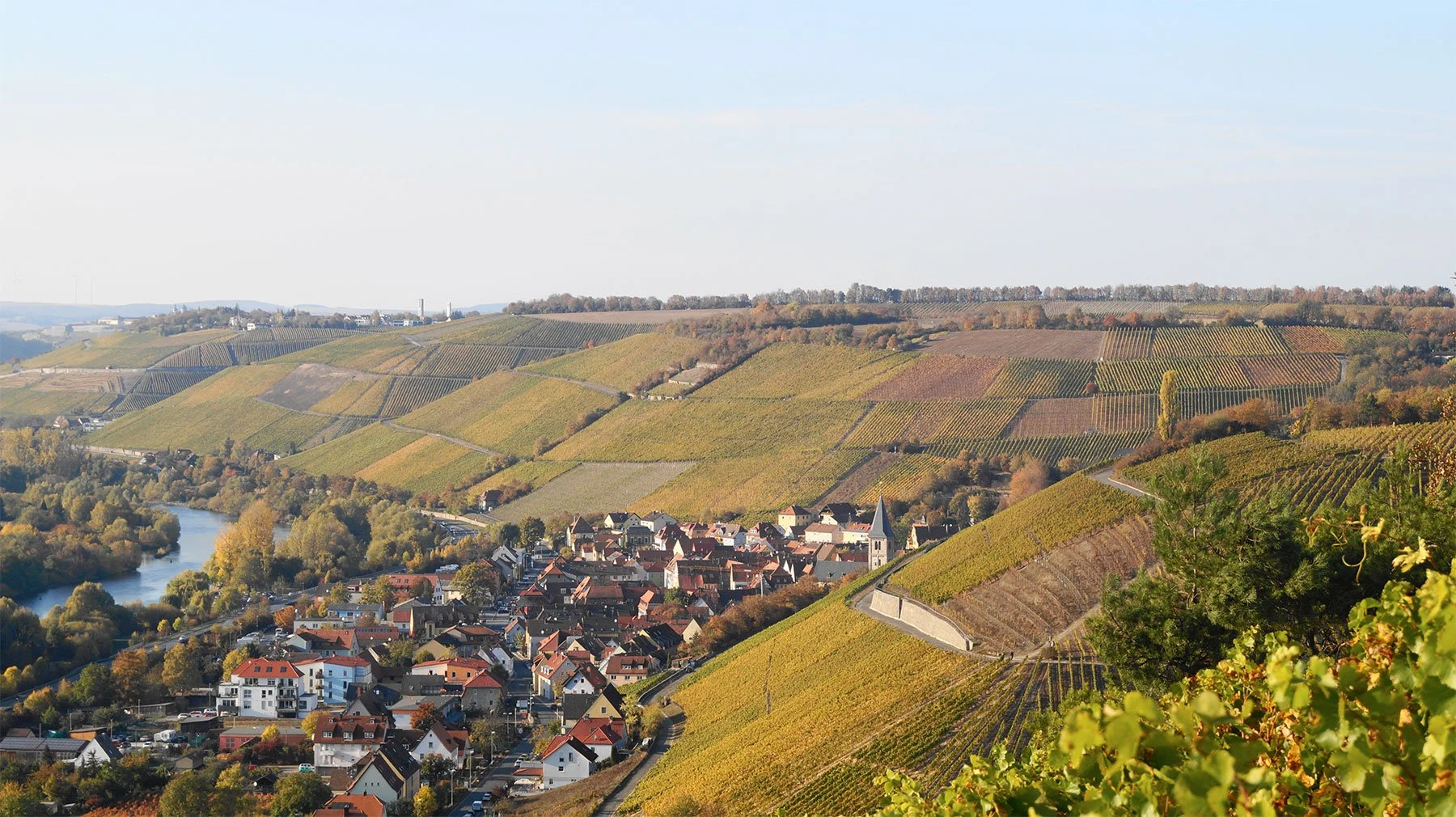 Weingut Reiss