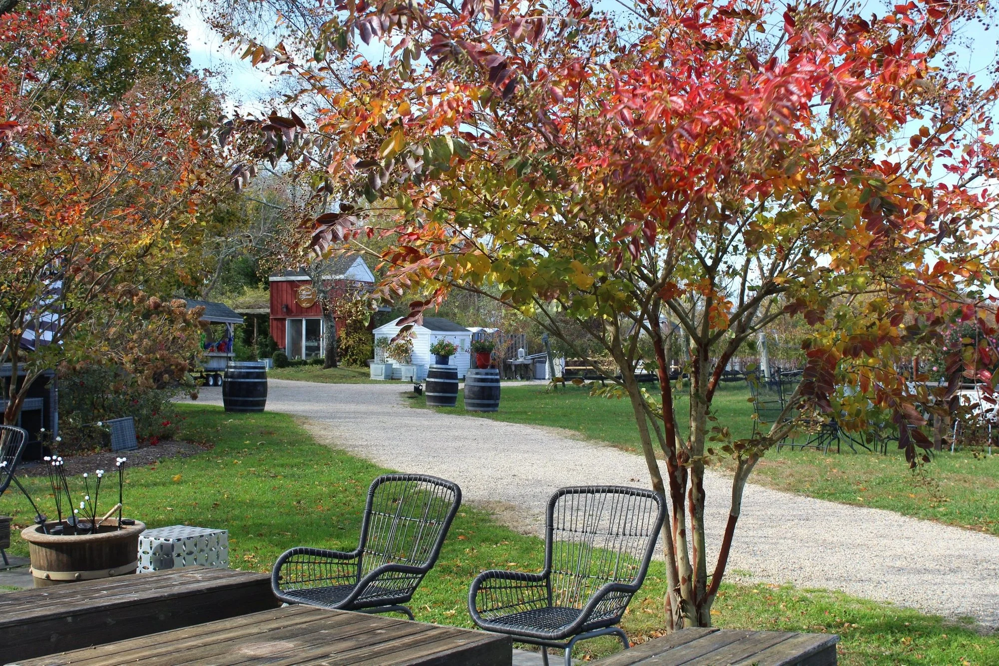 Mattebella Vineyards