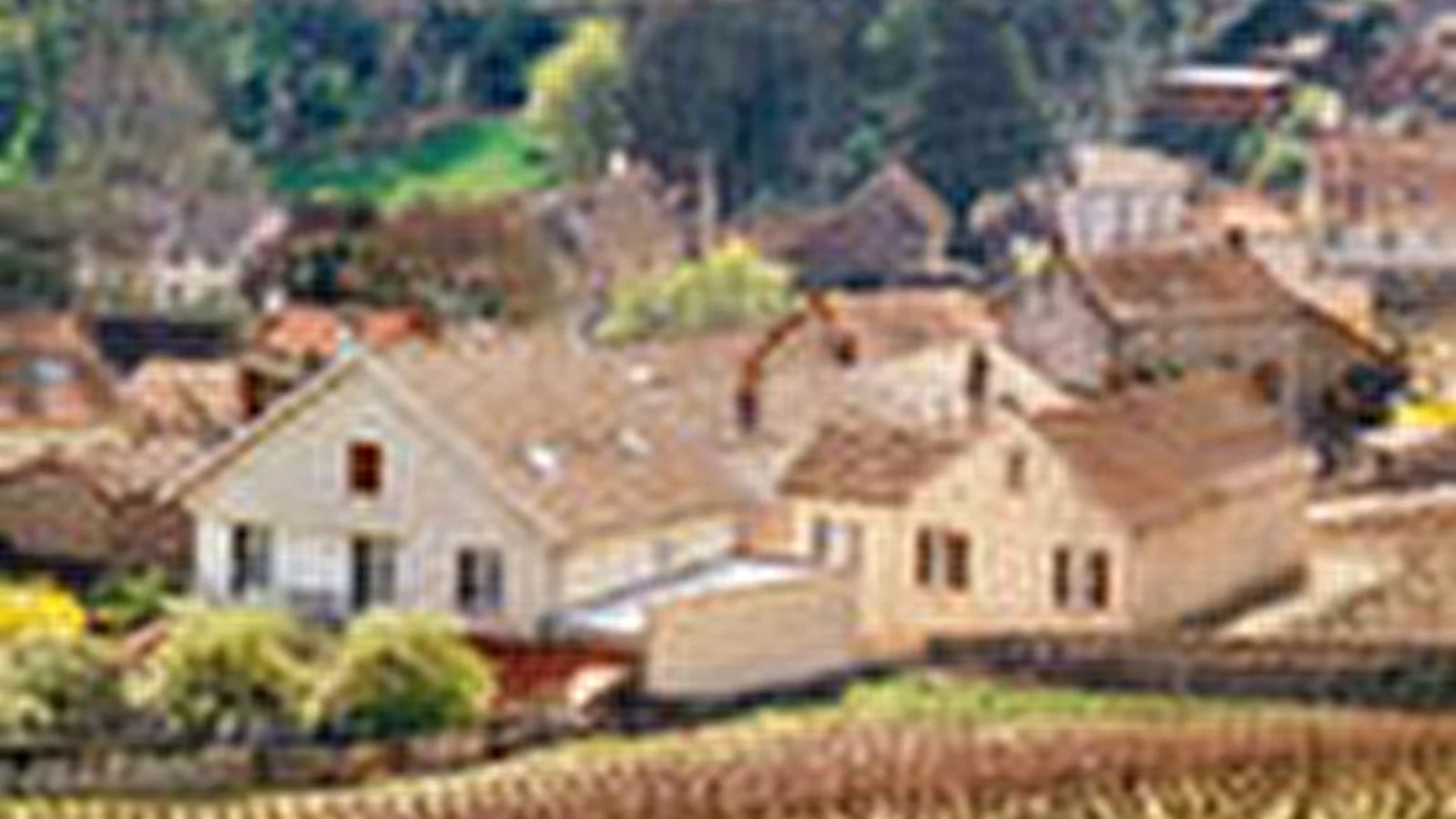Domaine Y. Clerget
