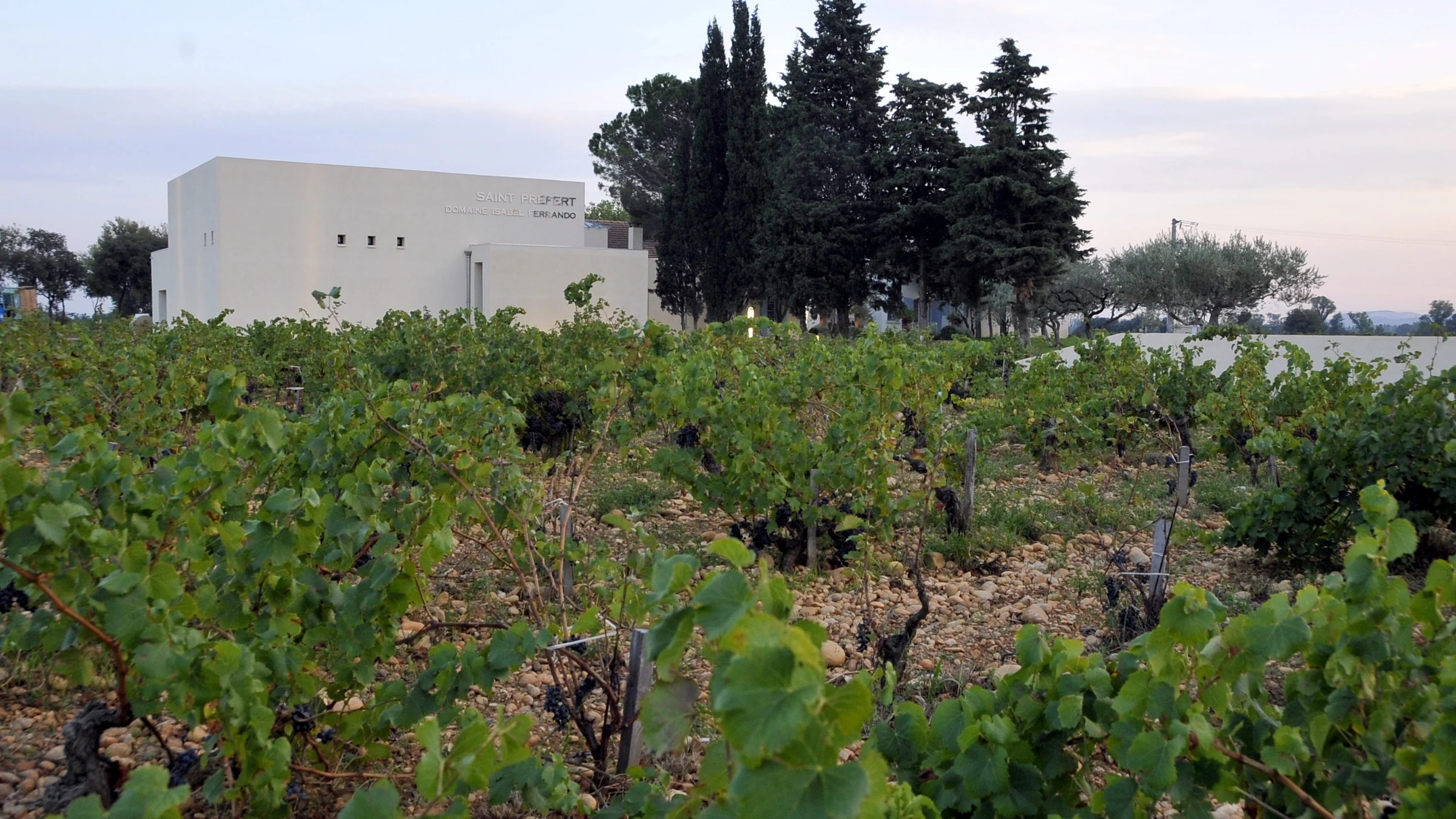 Domaine Saint Préfert