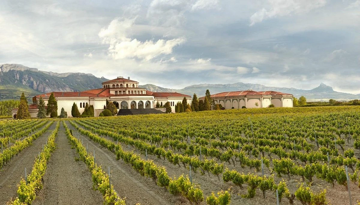Bodegas y Viñedos Artadi
