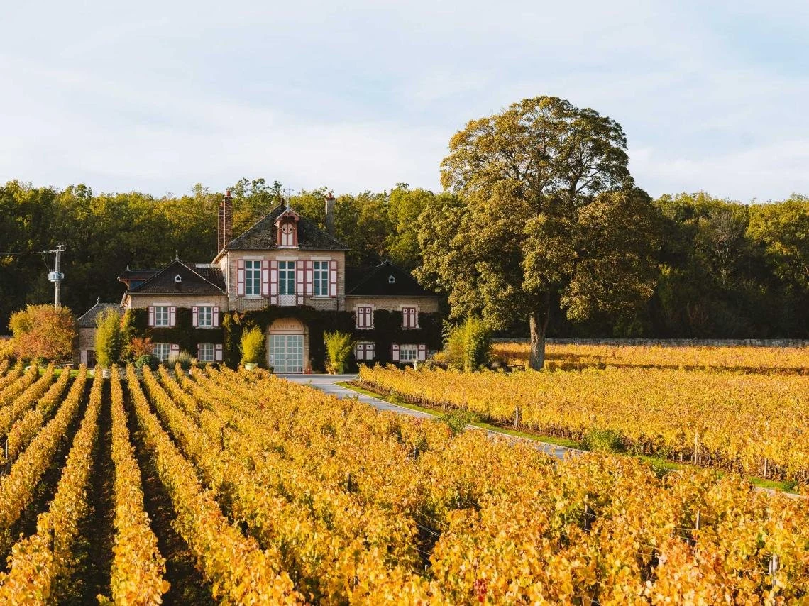Domaine D'Ardhuy