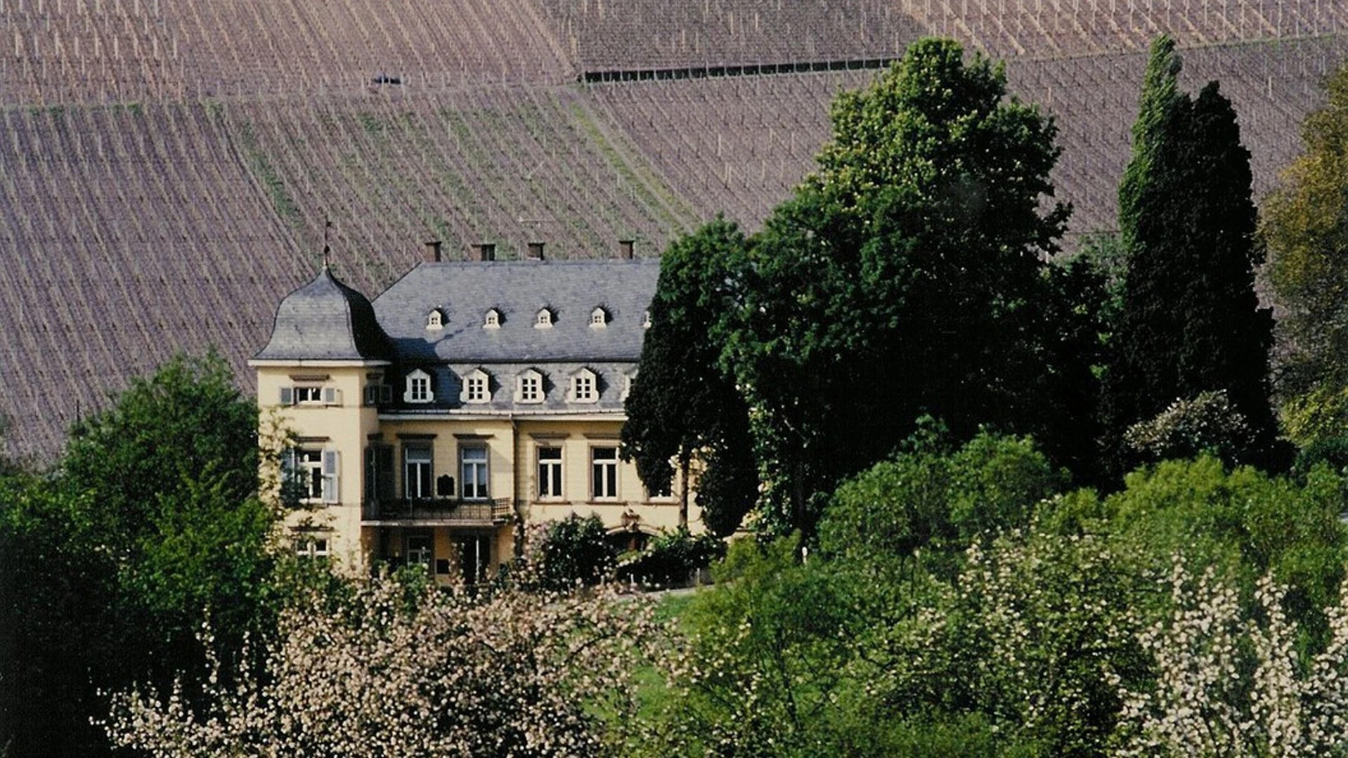 Weingut Egon Müller