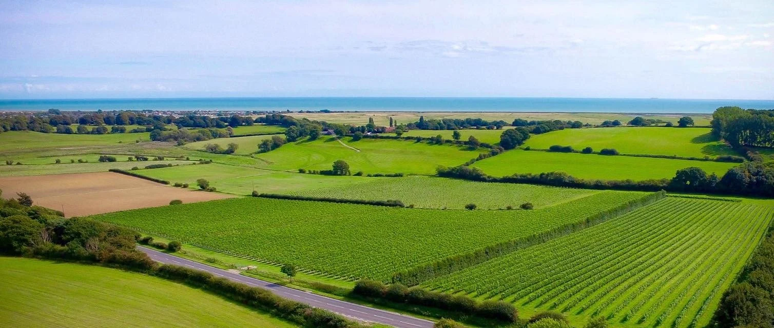 Charles Palmer Vineyards