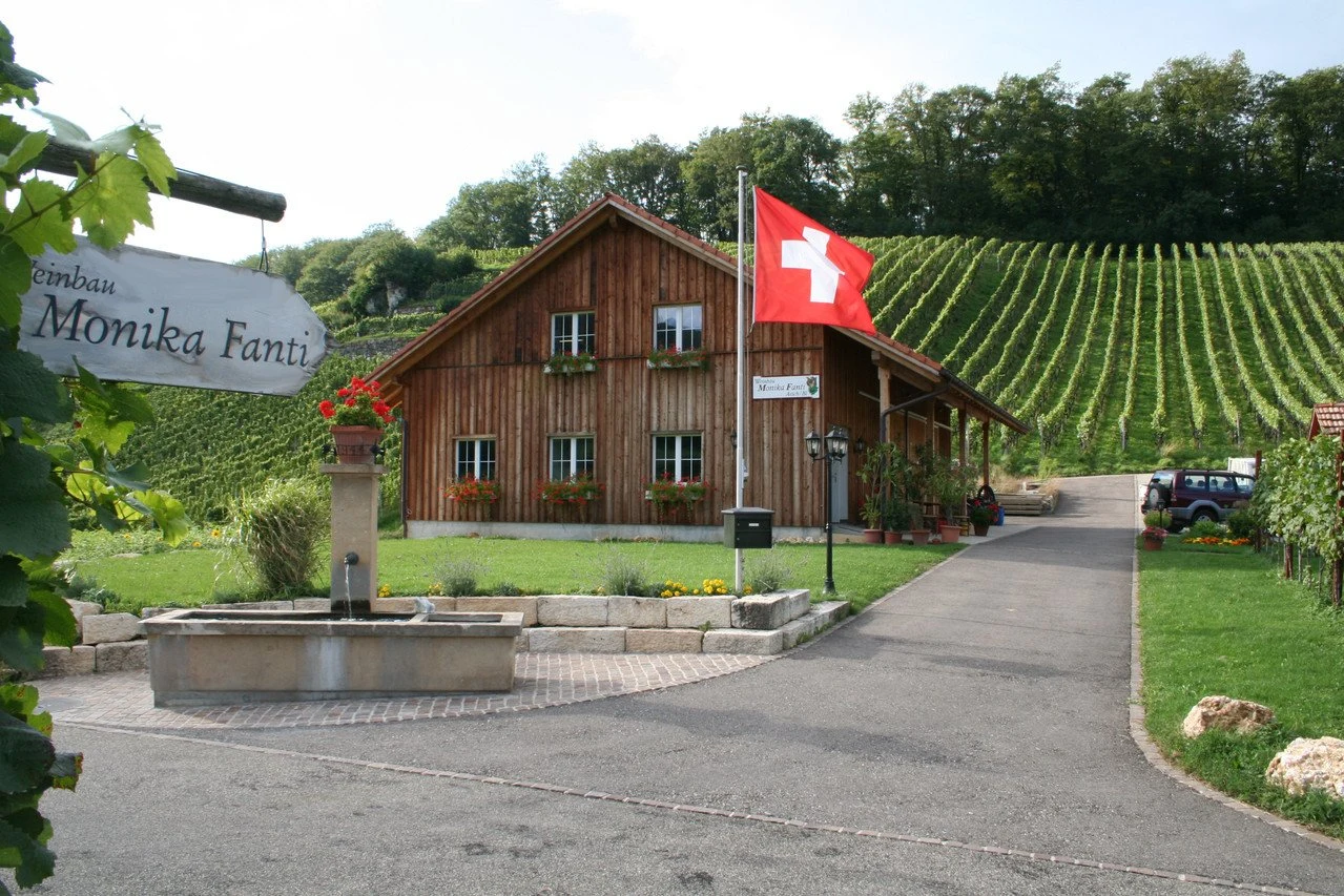 Weinbau Monika Fanti