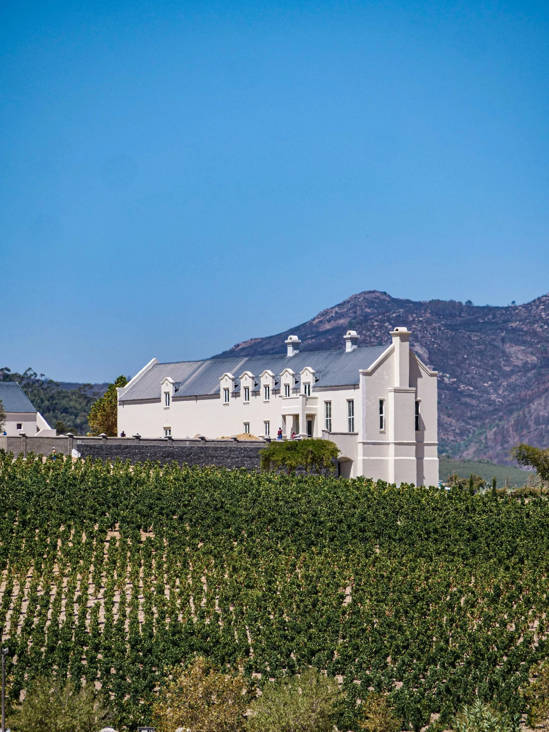 Sadie Family Wines