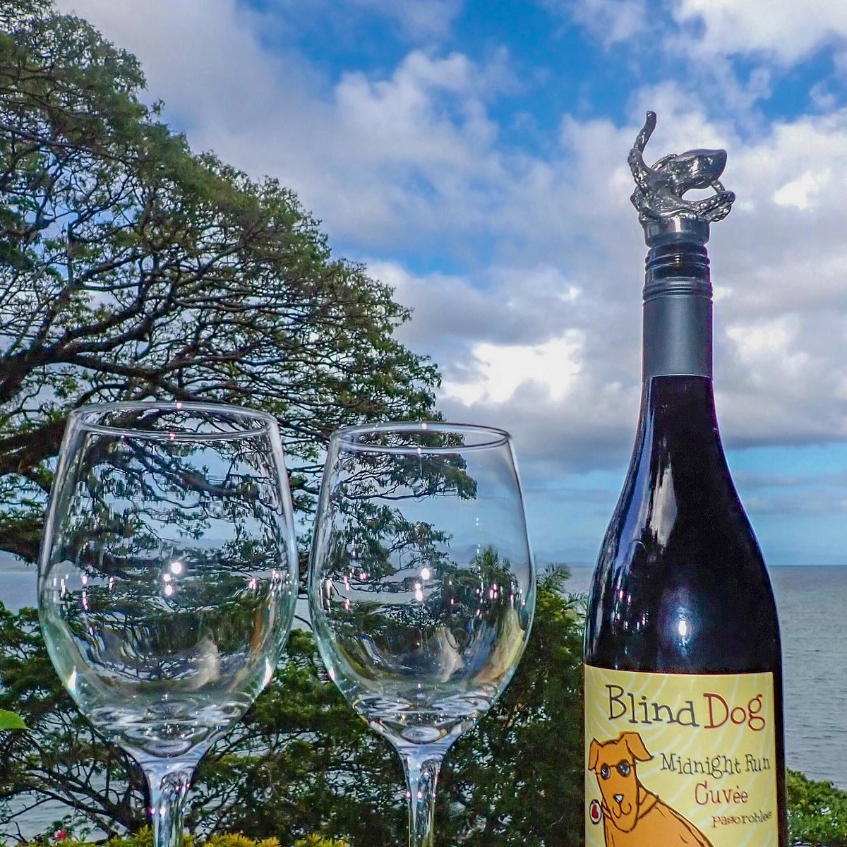 Ecluse Wines
