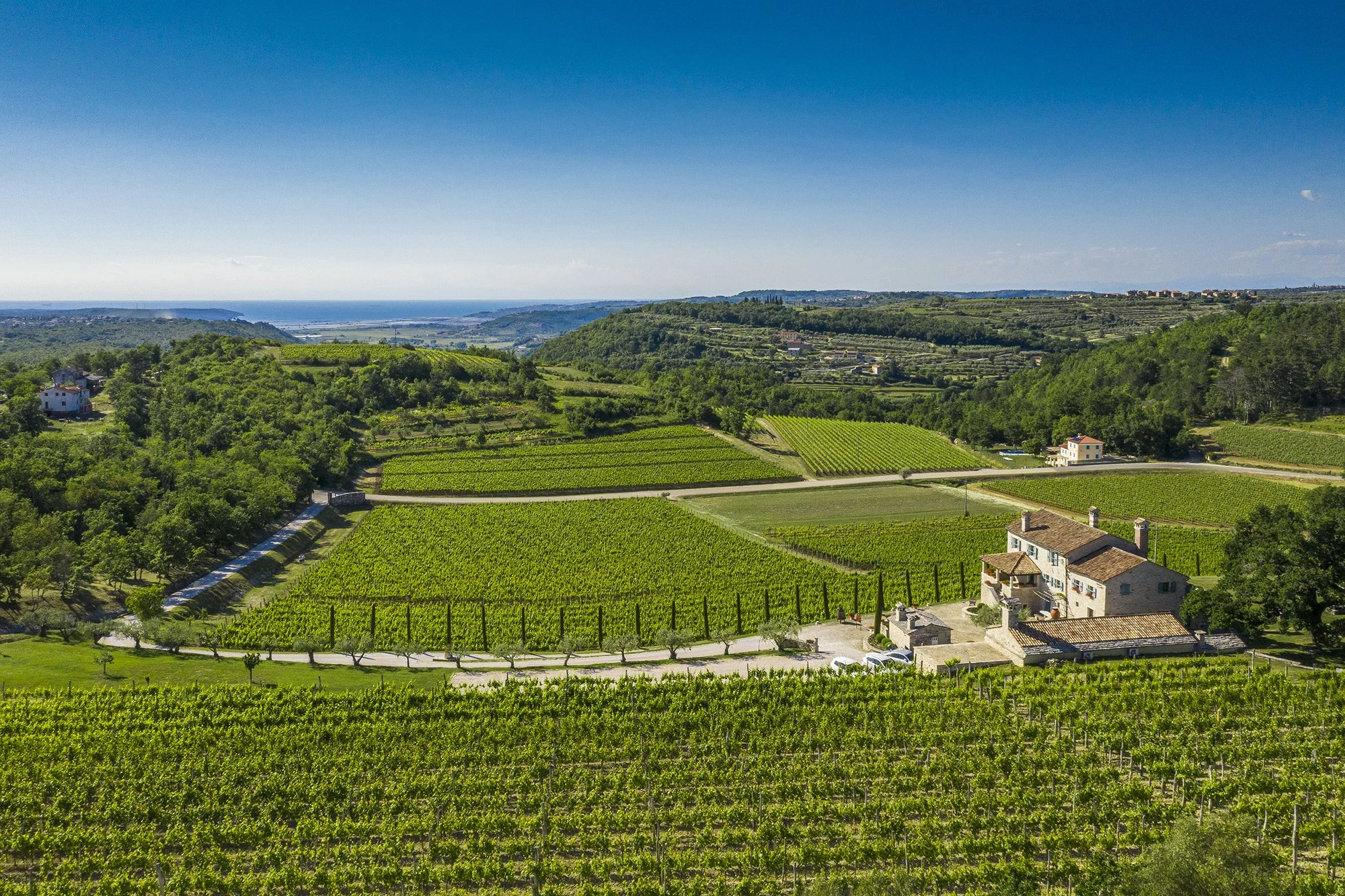Kabola Winery
