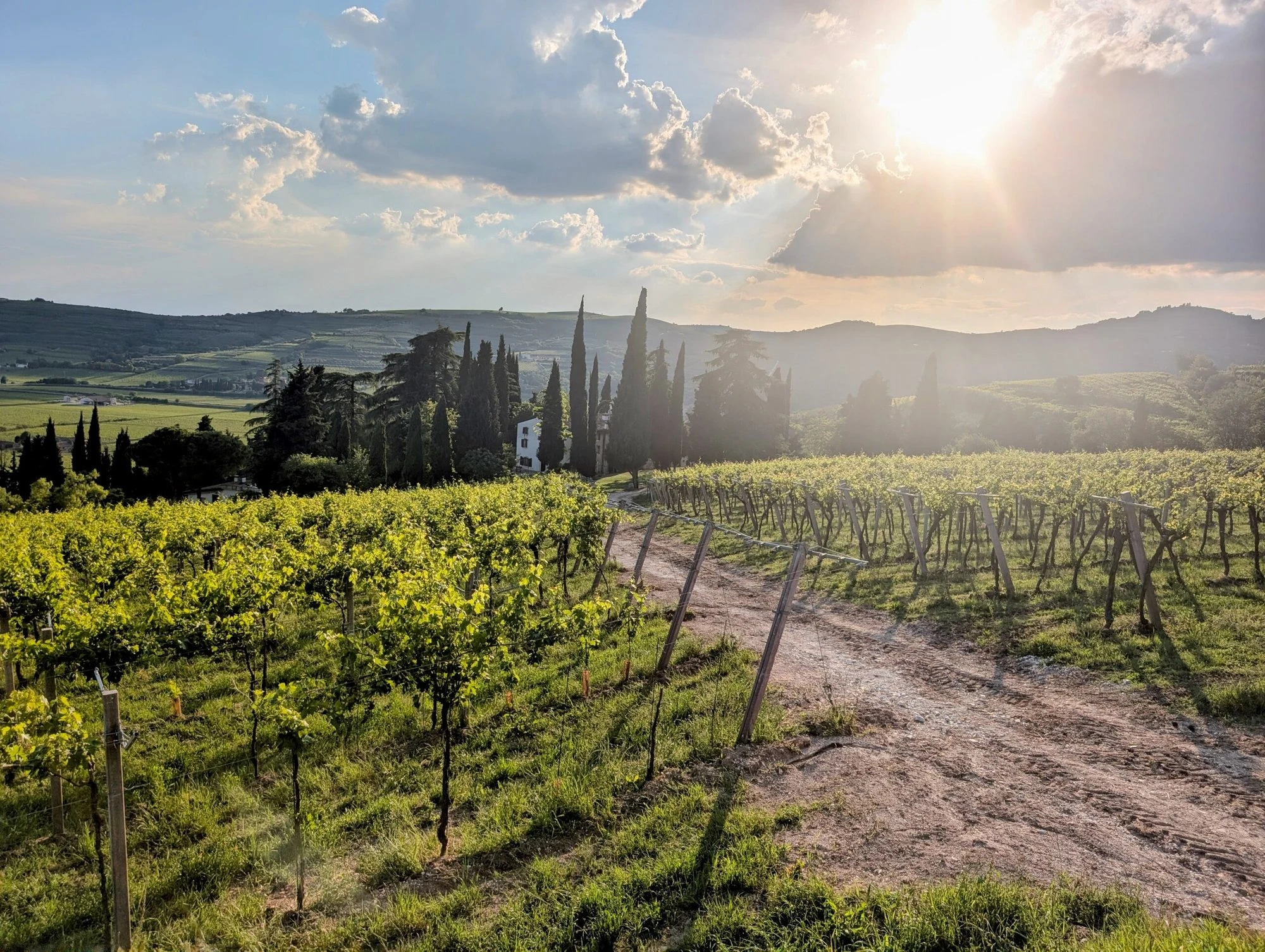 Azienda Agricola Roccolo Grassi