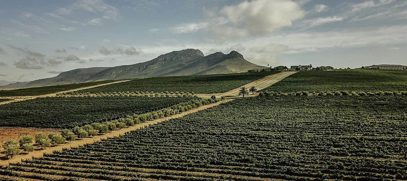 Org de Rac Organic Wines