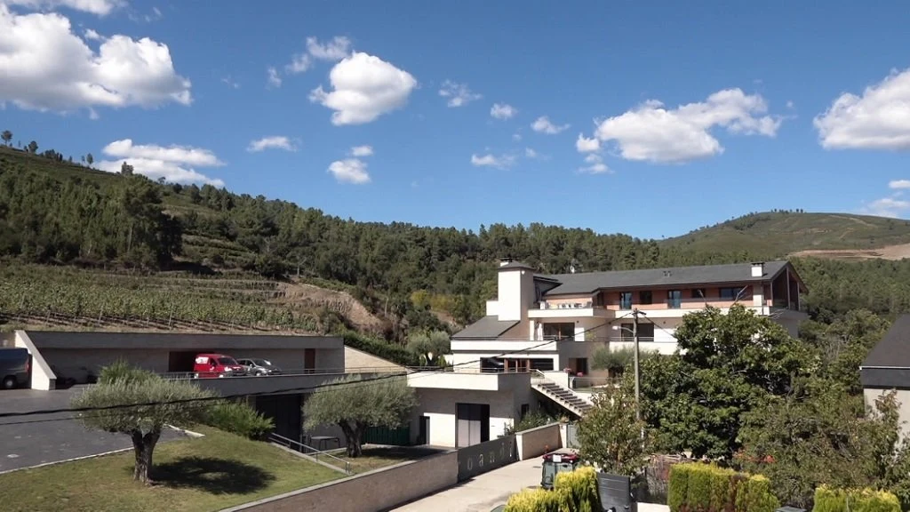 Bodega Roandi