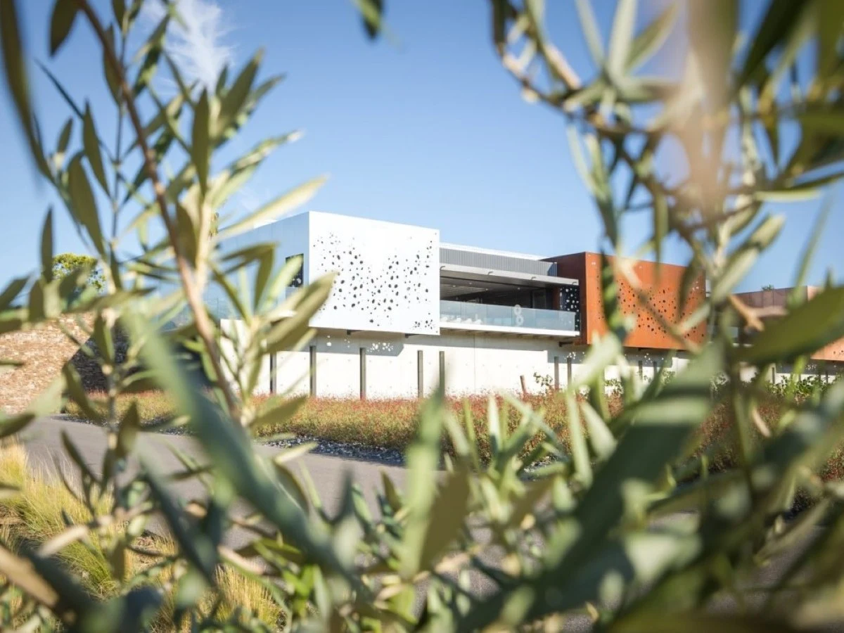 Modern winery building with a white perforated facade and glass walls, framed by green olive branches against a blue sky.